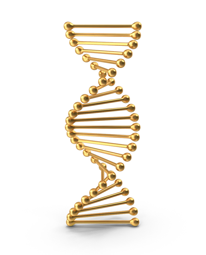 DNA Strain